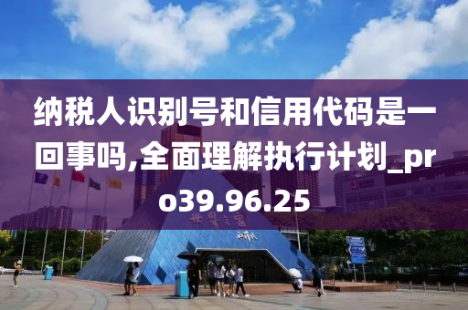 纳税人识别号和信用代码是一回事吗,全面理解执行计划_pro39.96.25