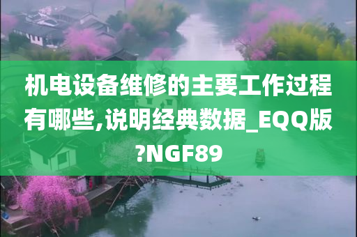 机电设备维修的主要工作过程有哪些,说明经典数据_EQQ版?NGF89