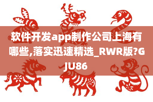 软件开发app制作公司上海有哪些,落实迅速精选_RWR版?GJU86