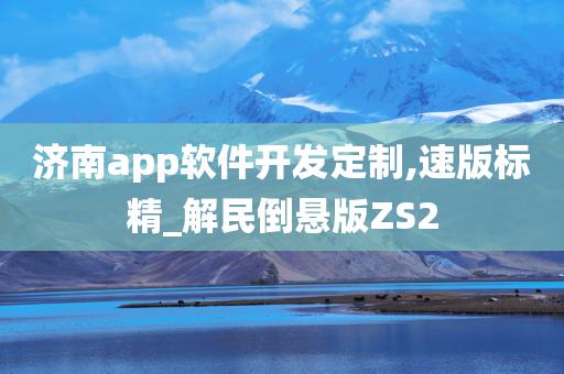 济南app软件开发定制,速版标精_解民倒悬版ZS2