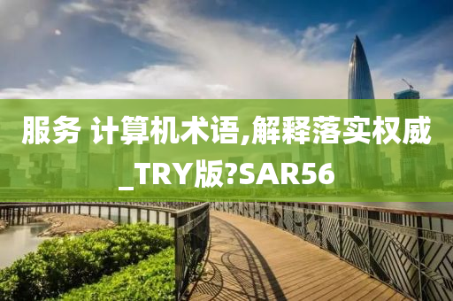 服务 计算机术语,解释落实权威_TRY版?SAR56