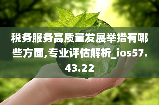 税务服务高质量发展举措有哪些方面,专业评估解析_ios57.43.22