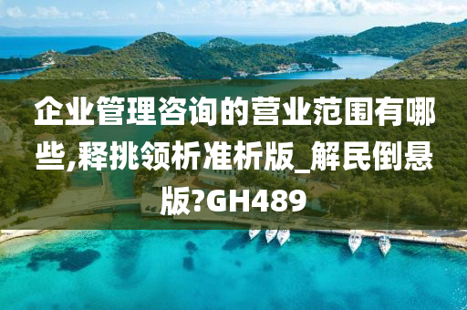 企业管理咨询的营业范围有哪些,释挑领析准析版_解民倒悬版?GH489