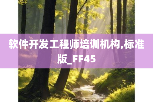 软件开发工程师培训机构,标准版_FF45