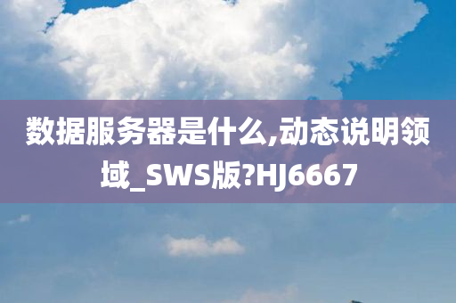 数据服务器是什么,动态说明领域_SWS版?HJ6667