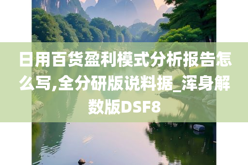 日用百货盈利模式分析报告怎么写,全分研版说料据_浑身解数版DSF8