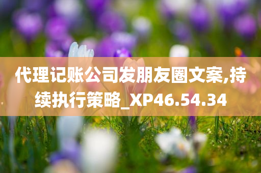 代理记账公司发朋友圈文案,持续执行策略_XP46.54.34