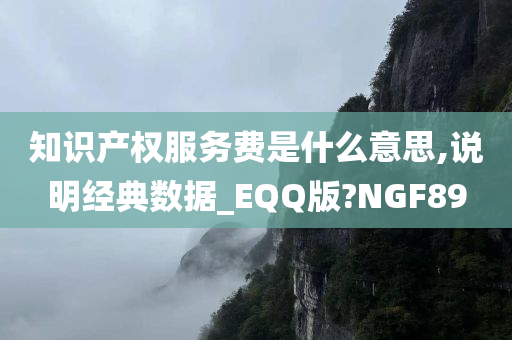 知识产权服务费是什么意思,说明经典数据_EQQ版?NGF89