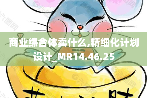 商业综合体卖什么,精细化计划设计_MR14.46.25