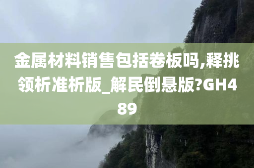 金属材料销售包括卷板吗,释挑领析准析版_解民倒悬版?GH489