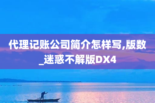 代理记账公司简介怎样写,版数_迷惑不解版DX4