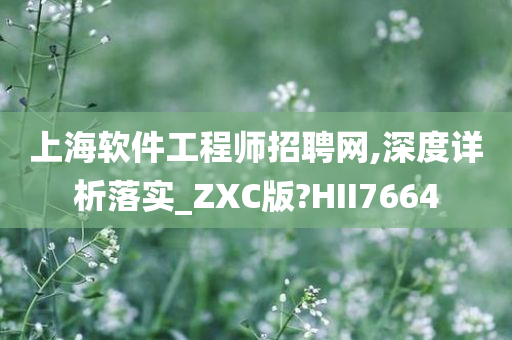 上海软件工程师招聘网,深度详析落实_ZXC版?HII7664