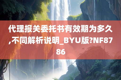 代理报关委托书有效期为多久,不同解析说明_BYU版?NF8786