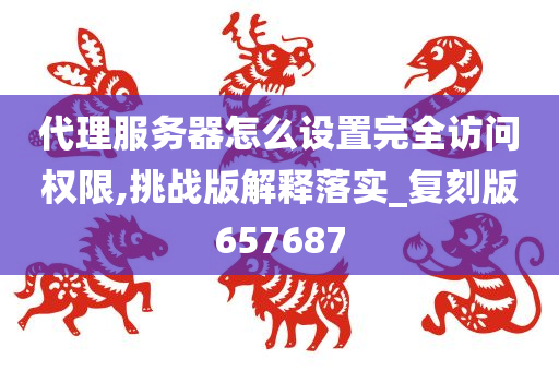 代理服务器怎么设置完全访问权限,挑战版解释落实_复刻版657687