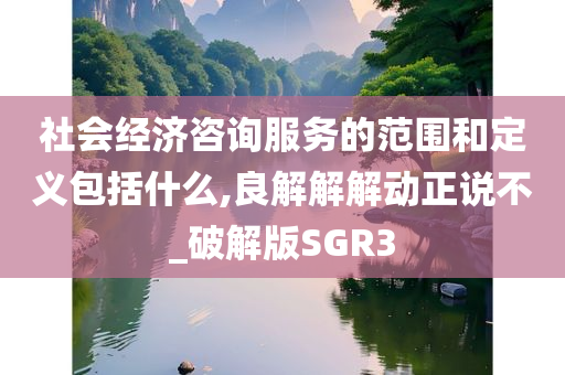 社会经济咨询服务的范围和定义包括什么,良解解解动正说不_破解版SGR3