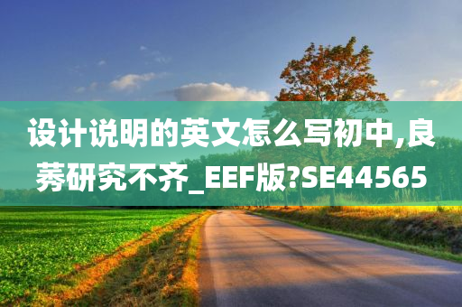 设计说明的英文怎么写初中,良莠研究不齐_EEF版?SE44565