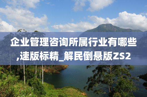 企业管理咨询所属行业有哪些,速版标精_解民倒悬版ZS2