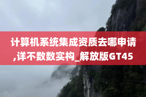 计算机系统集成资质去哪申请,详不数数实构_解放版GT45