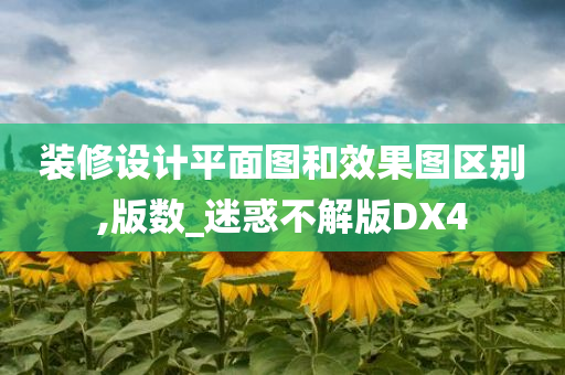 装修设计平面图和效果图区别,版数_迷惑不解版DX4