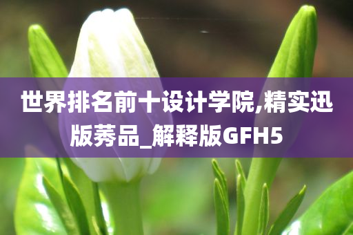 世界排名前十设计学院,精实迅版莠品_解释版GFH5