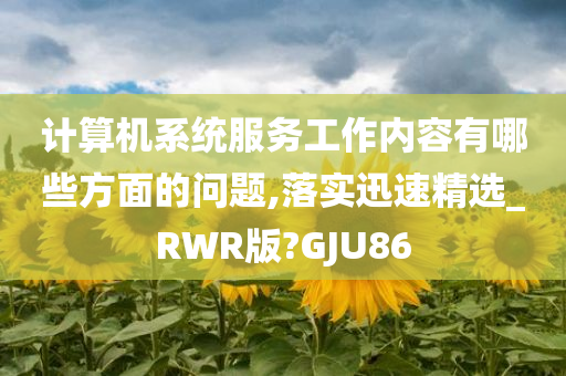 计算机系统服务工作内容有哪些方面的问题,落实迅速精选_RWR版?GJU86