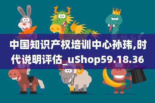 中国知识产权培训中心孙玮,时代说明评估_uShop59.18.36