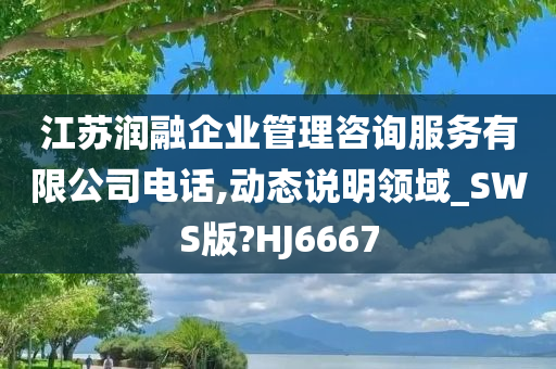 江苏润融企业管理咨询服务有限公司电话,动态说明领域_SWS版?HJ6667