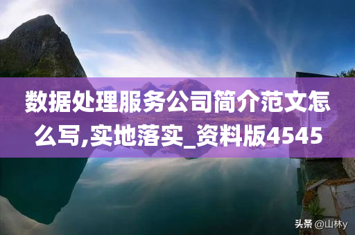 数据处理服务公司简介范文怎么写,实地落实_资料版4545