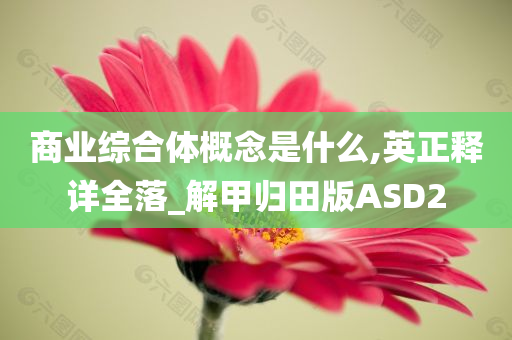 商业综合体概念是什么,英正释详全落_解甲归田版ASD2