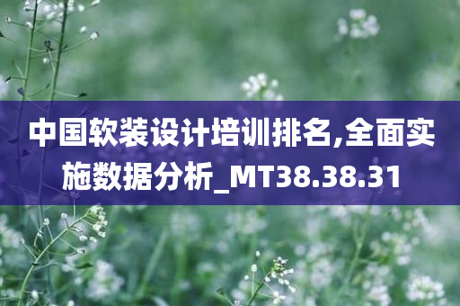 中国软装设计培训排名,全面实施数据分析_MT38.38.31