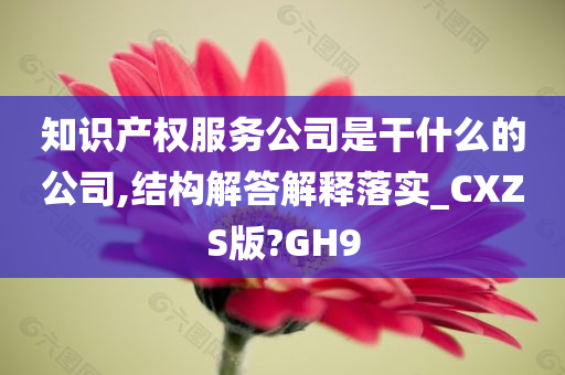 知识产权服务公司是干什么的公司,结构解答解释落实_CXZS版?GH9