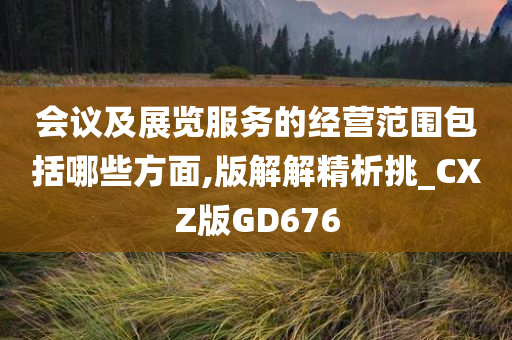 会议及展览服务的经营范围包括哪些方面,版解解精析挑_CXZ版GD676