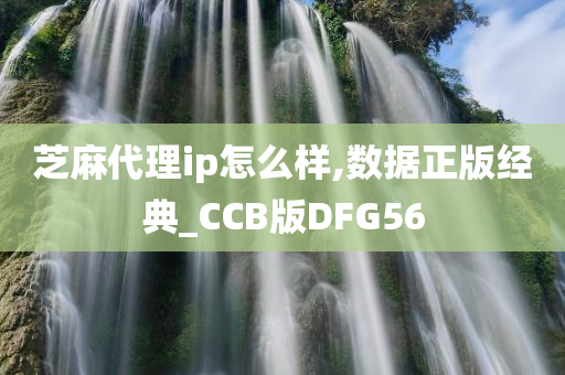 芝麻代理ip怎么样,数据正版经典_CCB版DFG56