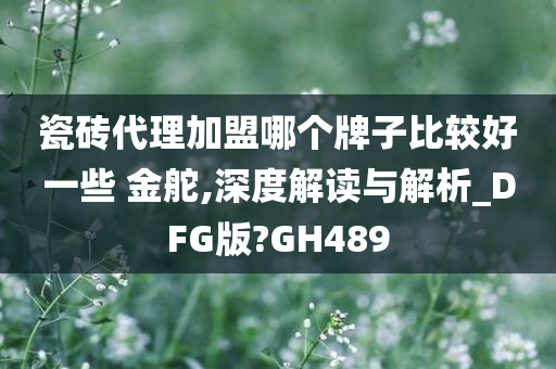 瓷砖代理加盟哪个牌子比较好一些 金舵,深度解读与解析_DFG版?GH489