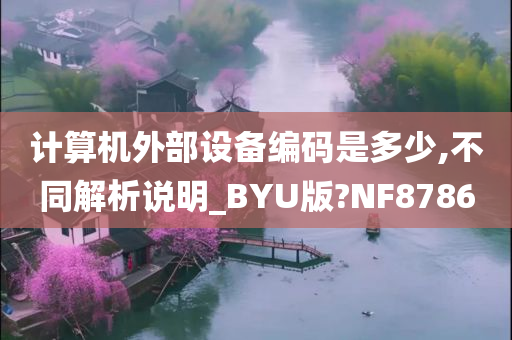 计算机外部设备编码是多少,不同解析说明_BYU版?NF8786