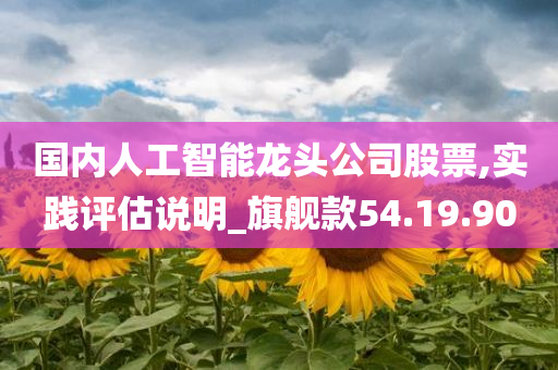 国内人工智能龙头公司股票,实践评估说明_旗舰款54.19.90