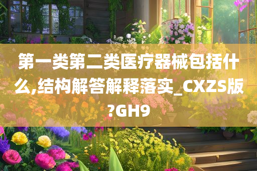 第一类第二类医疗器械包括什么,结构解答解释落实_CXZS版?GH9