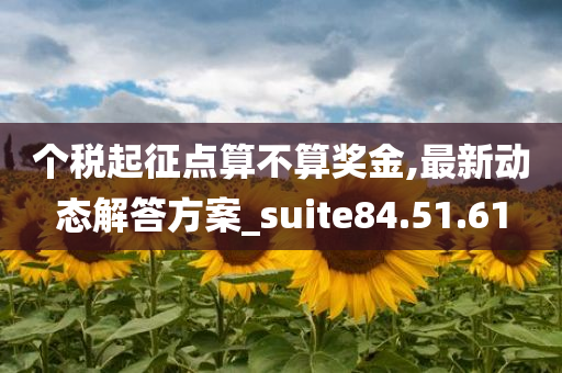 个税起征点算不算奖金,最新动态解答方案_suite84.51.61