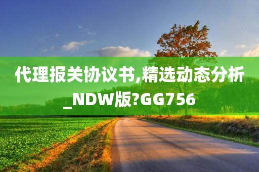 代理报关协议书,精选动态分析_NDW版?GG756