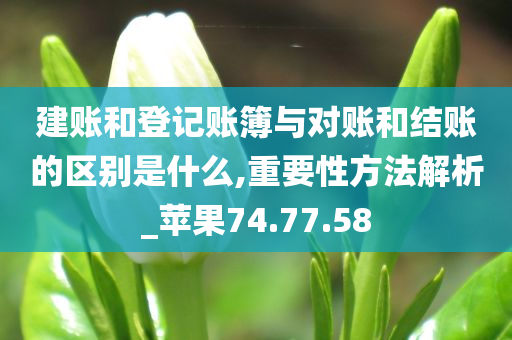 建账和登记账簿与对账和结账的区别是什么,重要性方法解析_苹果74.77.58