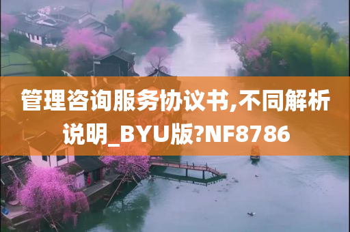 管理咨询服务协议书,不同解析说明_BYU版?NF8786