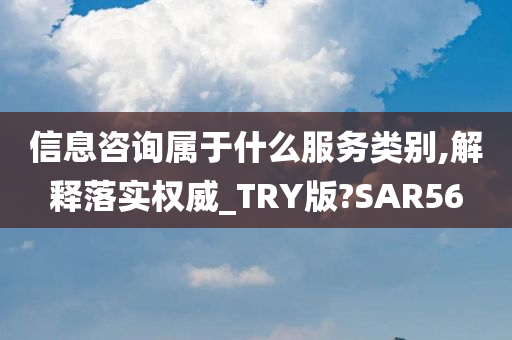 信息咨询属于什么服务类别,解释落实权威_TRY版?SAR56