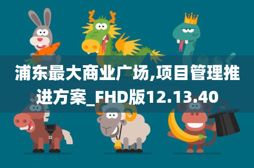 浦东最大商业广场,项目管理推进方案_FHD版12.13.40