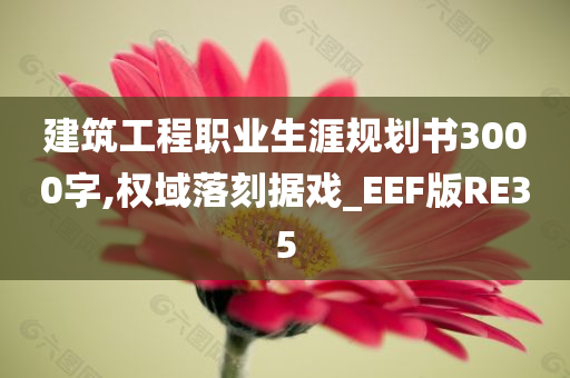 建筑工程职业生涯规划书3000字,权域落刻据戏_EEF版RE35