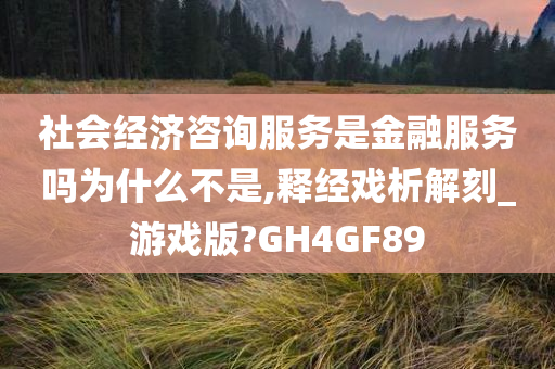 社会经济咨询服务是金融服务吗为什么不是,释经戏析解刻_游戏版?GH4GF89