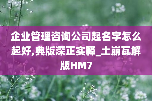 企业管理咨询公司起名字怎么起好,典版深正实释_土崩瓦解版HM7