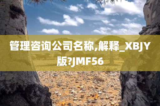 管理咨询公司名称,解释_XBJY版?JMF56