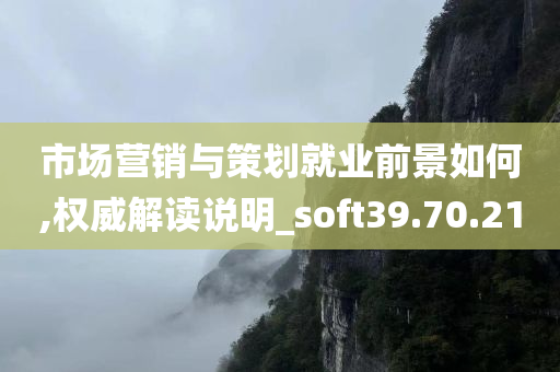 市场营销与策划就业前景如何,权威解读说明_soft39.70.21