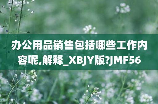 办公用品销售包括哪些工作内容呢,解释_XBJY版?JMF56