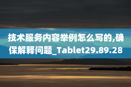 技术服务内容举例怎么写的,确保解释问题_Tablet29.89.28